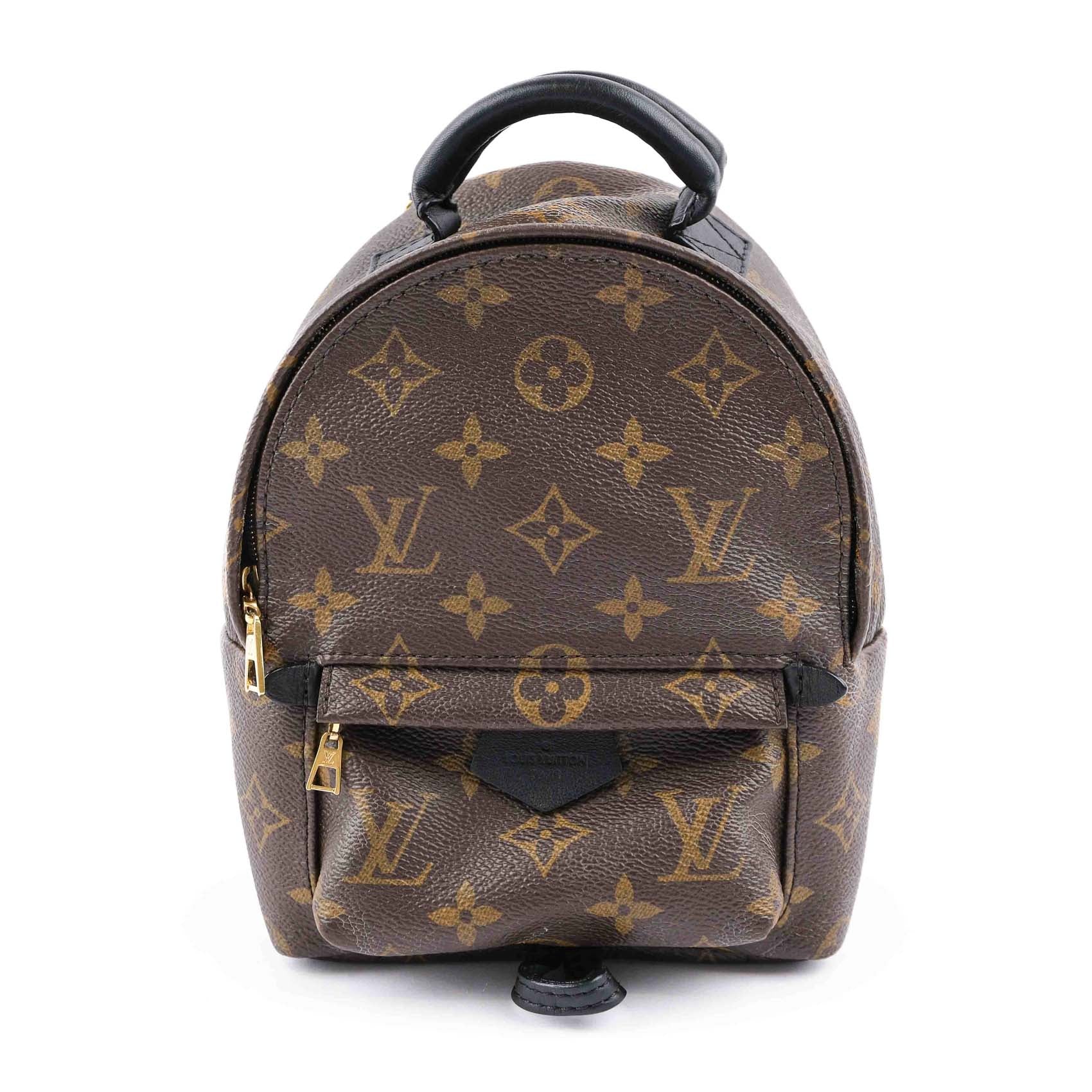Louis Vuitton Palm Springs Mini Backpack