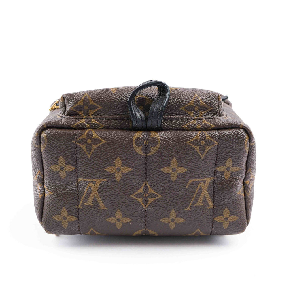 Louis Vuitton Palm Springs Mini Backpack M44873