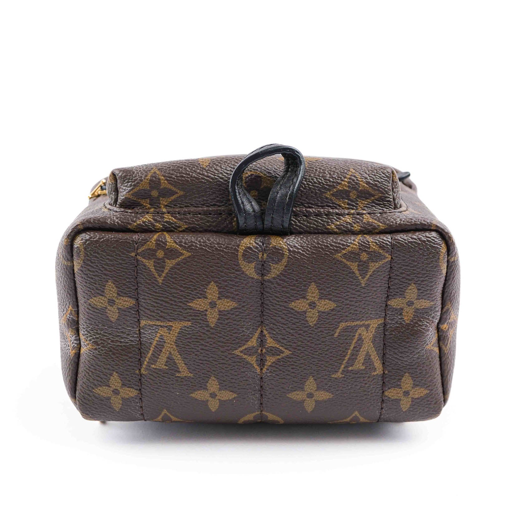 Louis Vuitton Palm Springs Mini Backpack M44873
