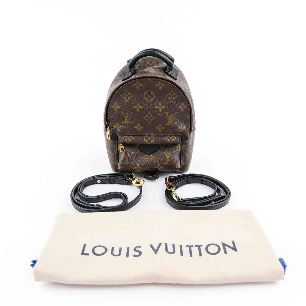 Louis Vuitton Palm Springs Mini Backpack M44873