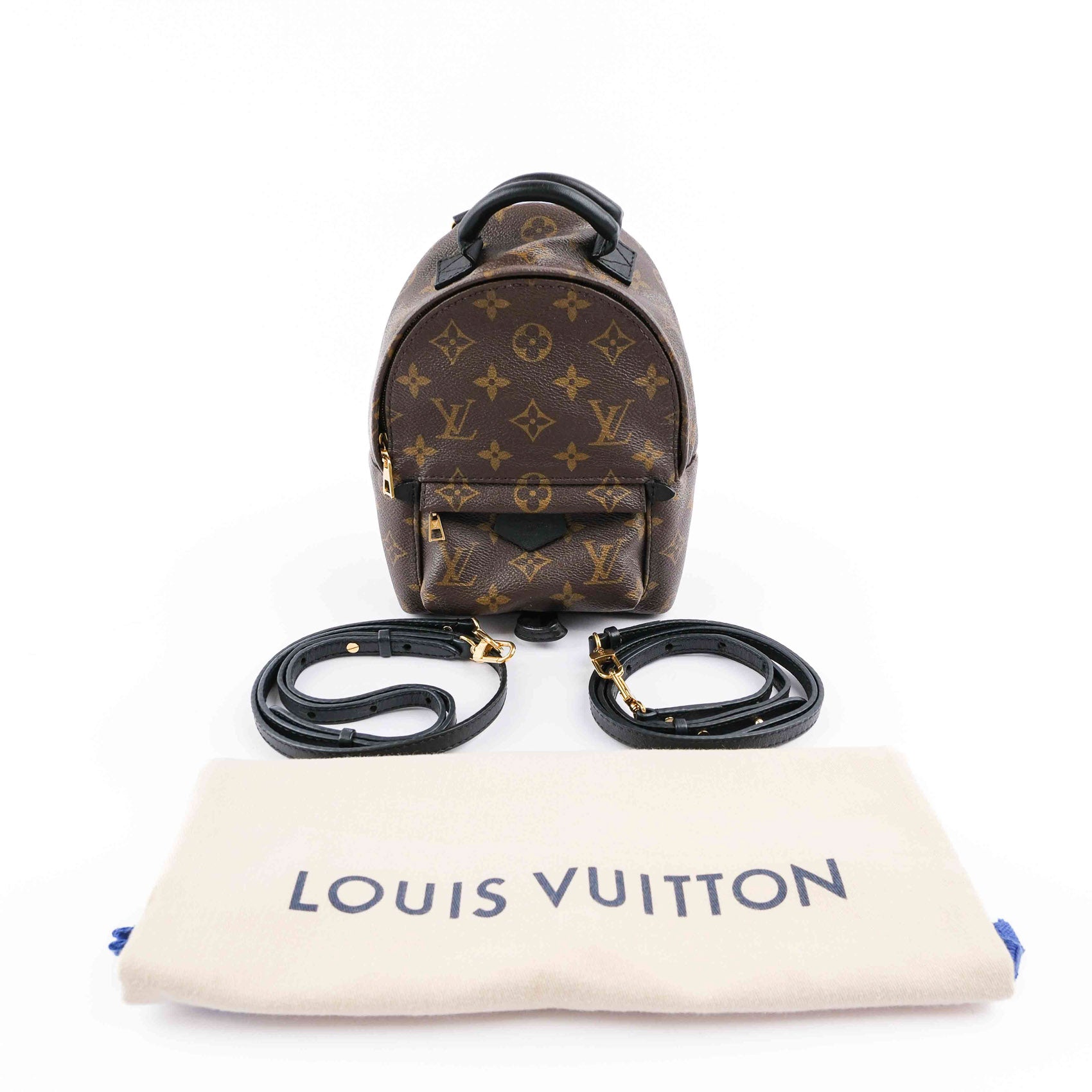 Louis Vuitton Palm Springs Mini Backpack M44873