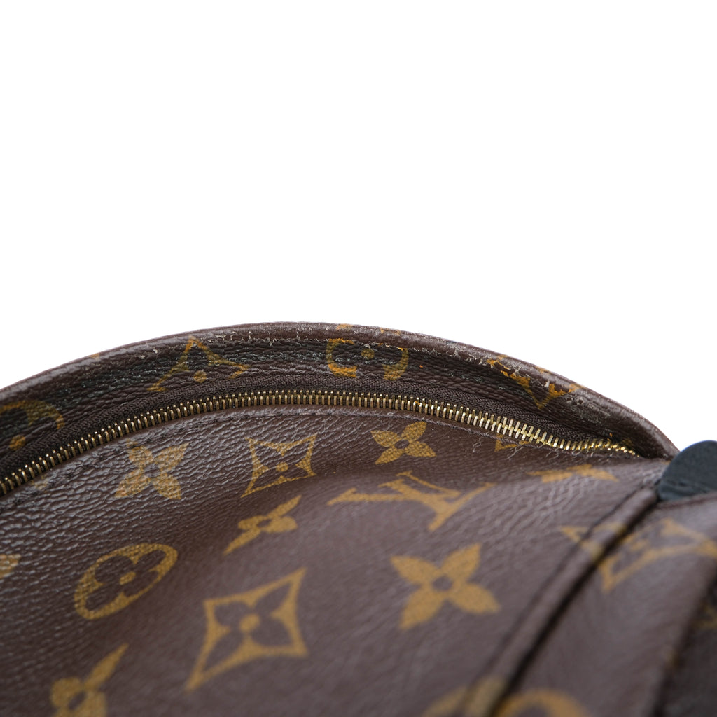 Louis Vuitton Palm Springs Mini Backpack M44873