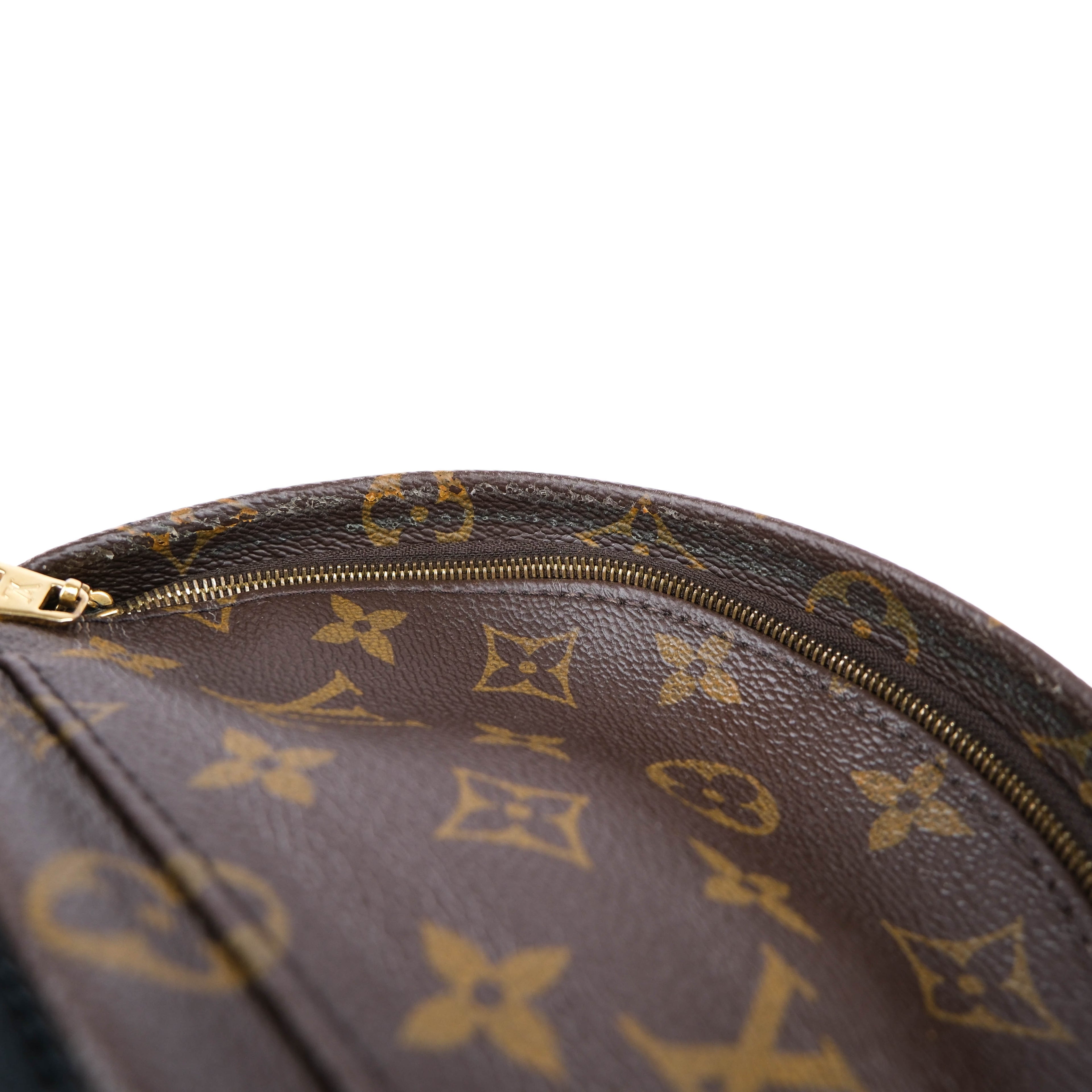 Louis Vuitton Palm Springs Mini Backpack M44873