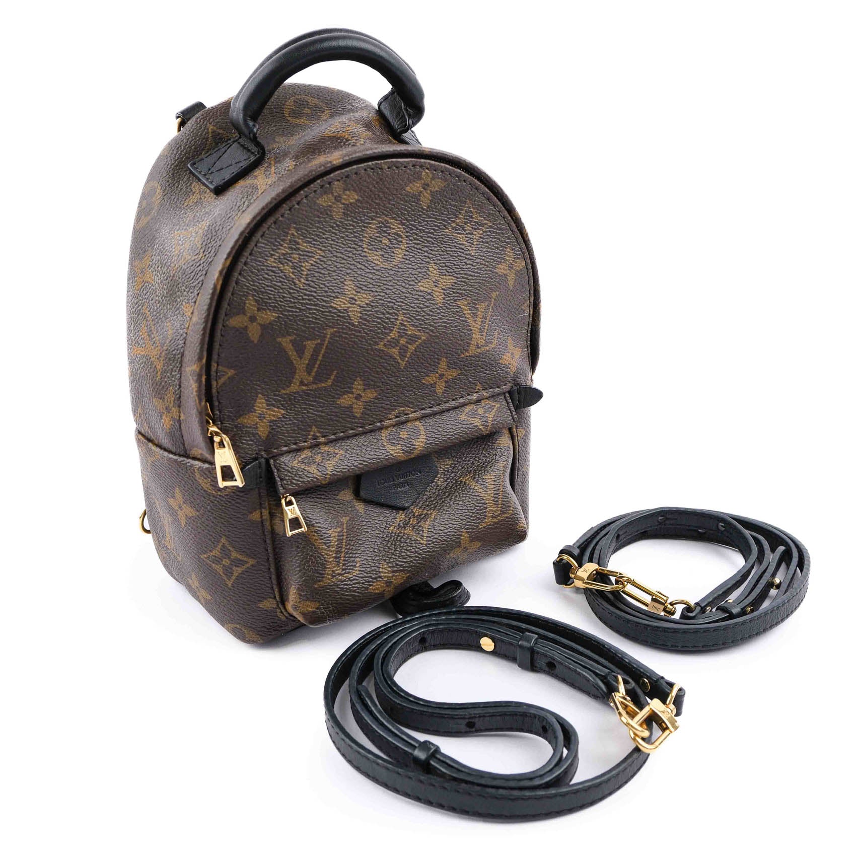 Louis Vuitton Palm Springs Mini Backpack