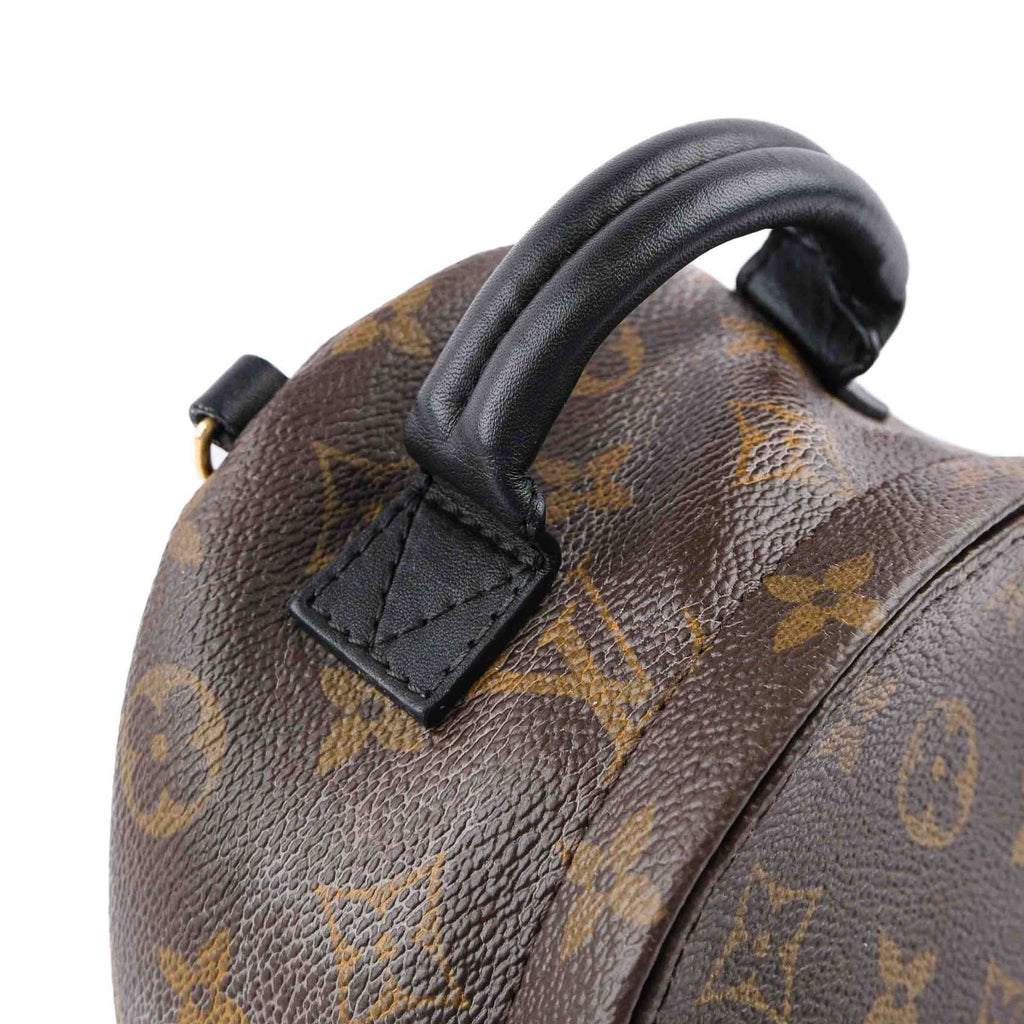 Louis Vuitton Palm Springs Mini Backpack M44873