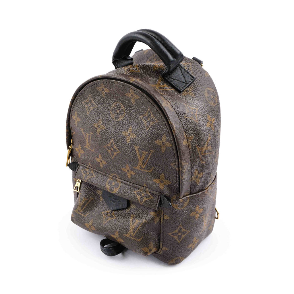 Louis Vuitton Palm Springs Mini Backpack M44873