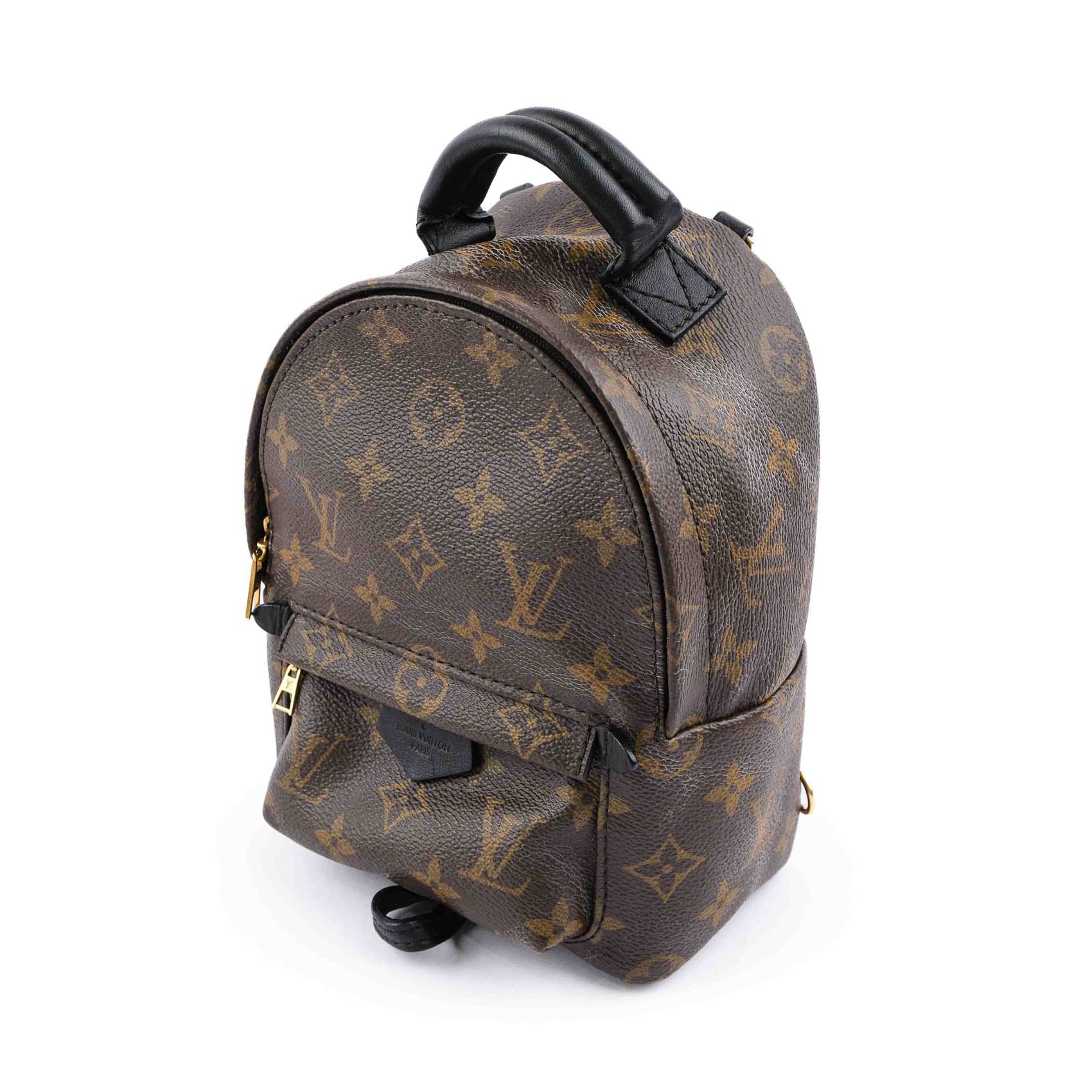 Louis Vuitton Palm Springs Mini Backpack