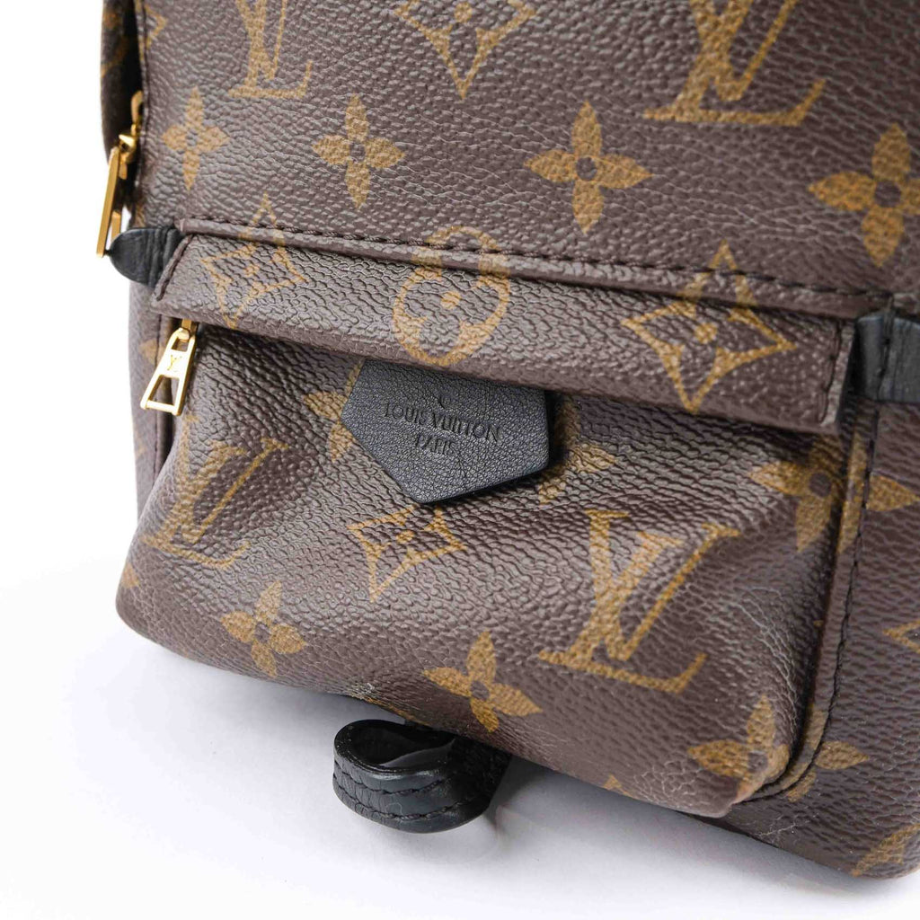 Louis Vuitton Palm Springs Mini Backpack M44873