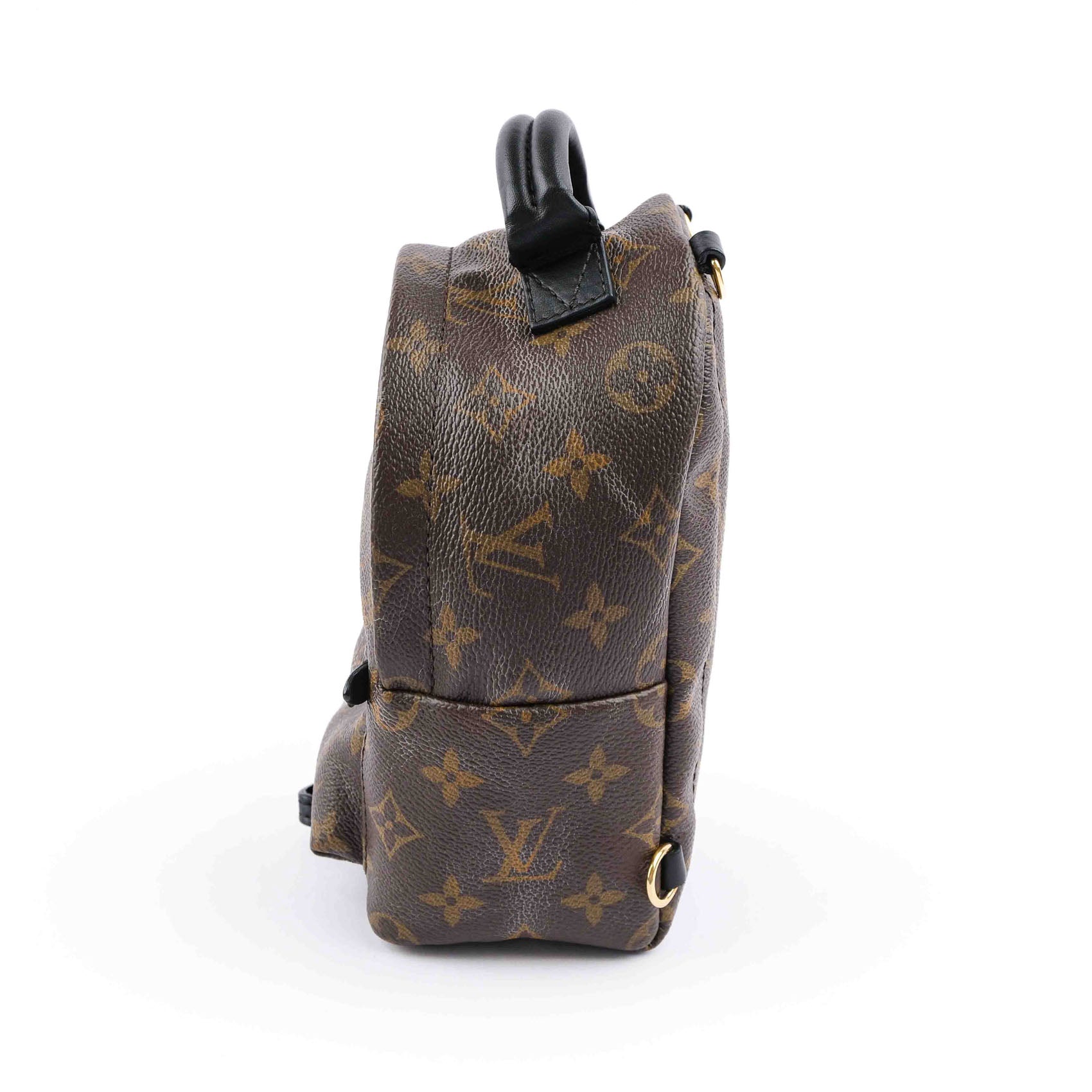 Louis Vuitton Palm Springs Mini Backpack M44873