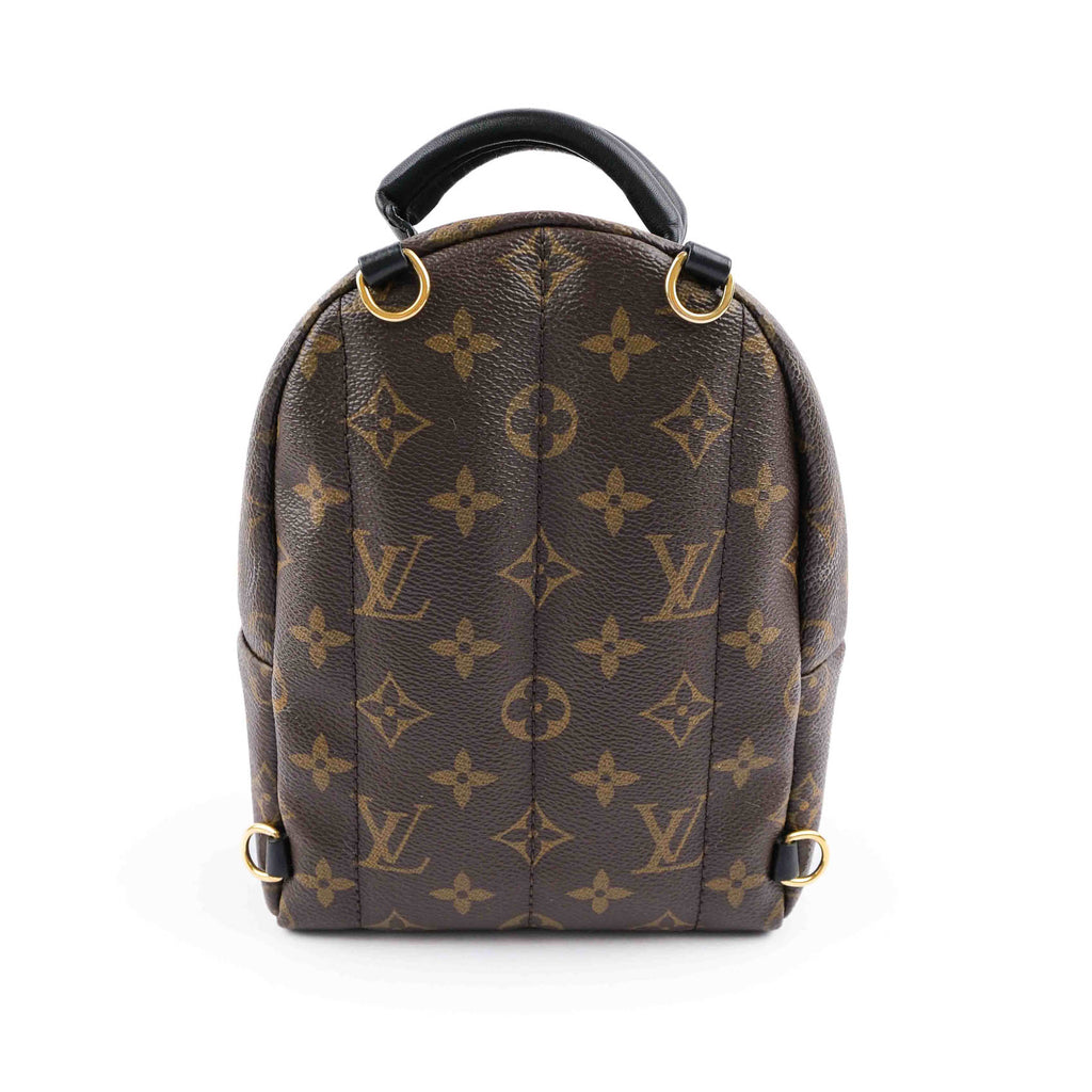 Louis Vuitton Palm Springs Mini Backpack M44873