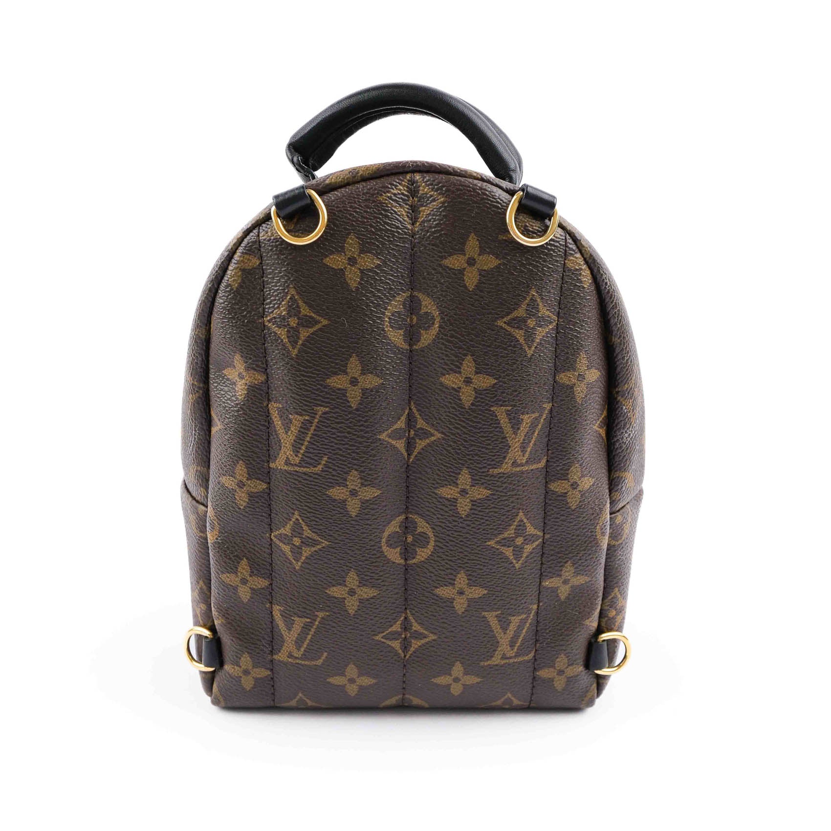 Louis Vuitton Palm Springs Mini Backpack M44873