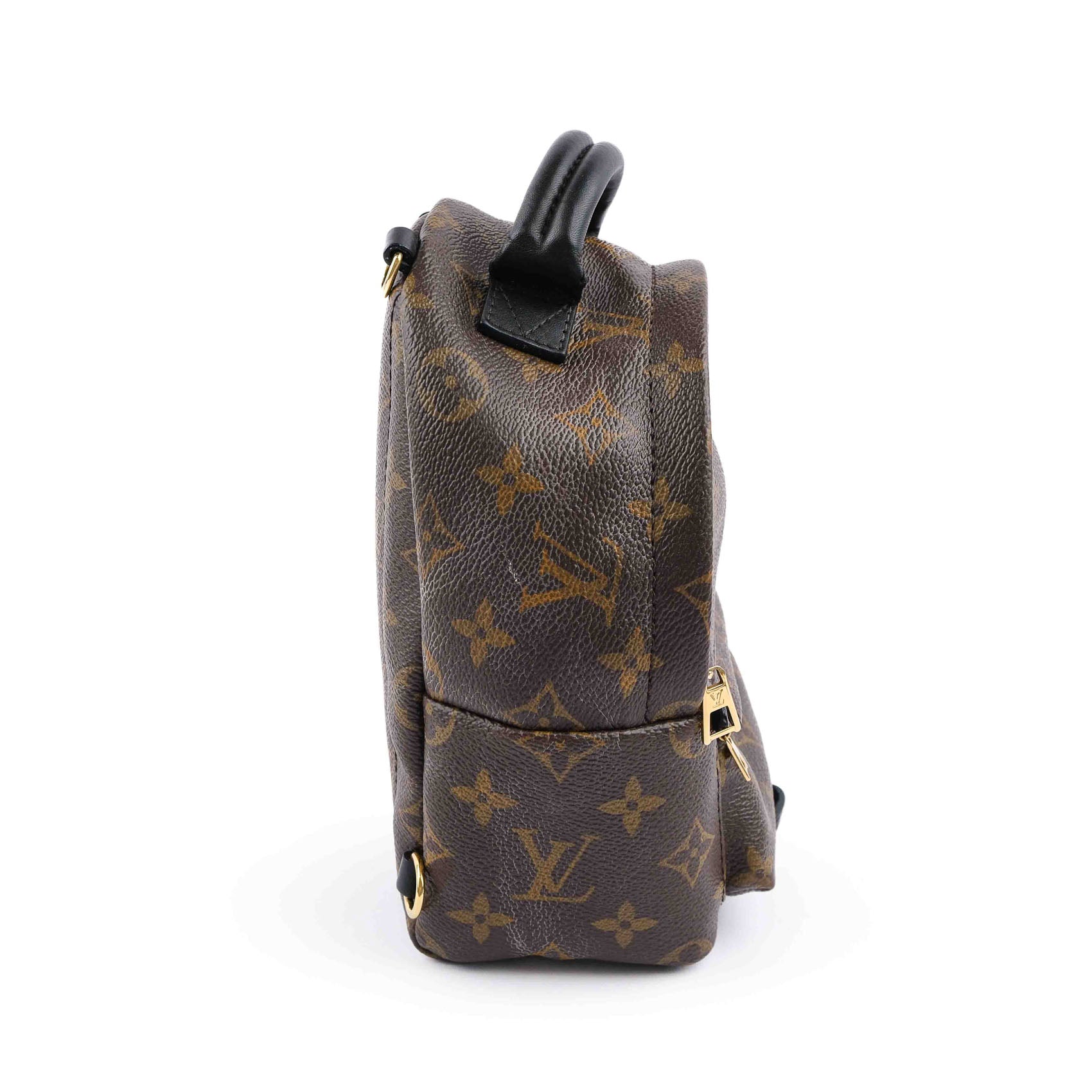 Louis Vuitton Palm Springs Mini Backpack M44873