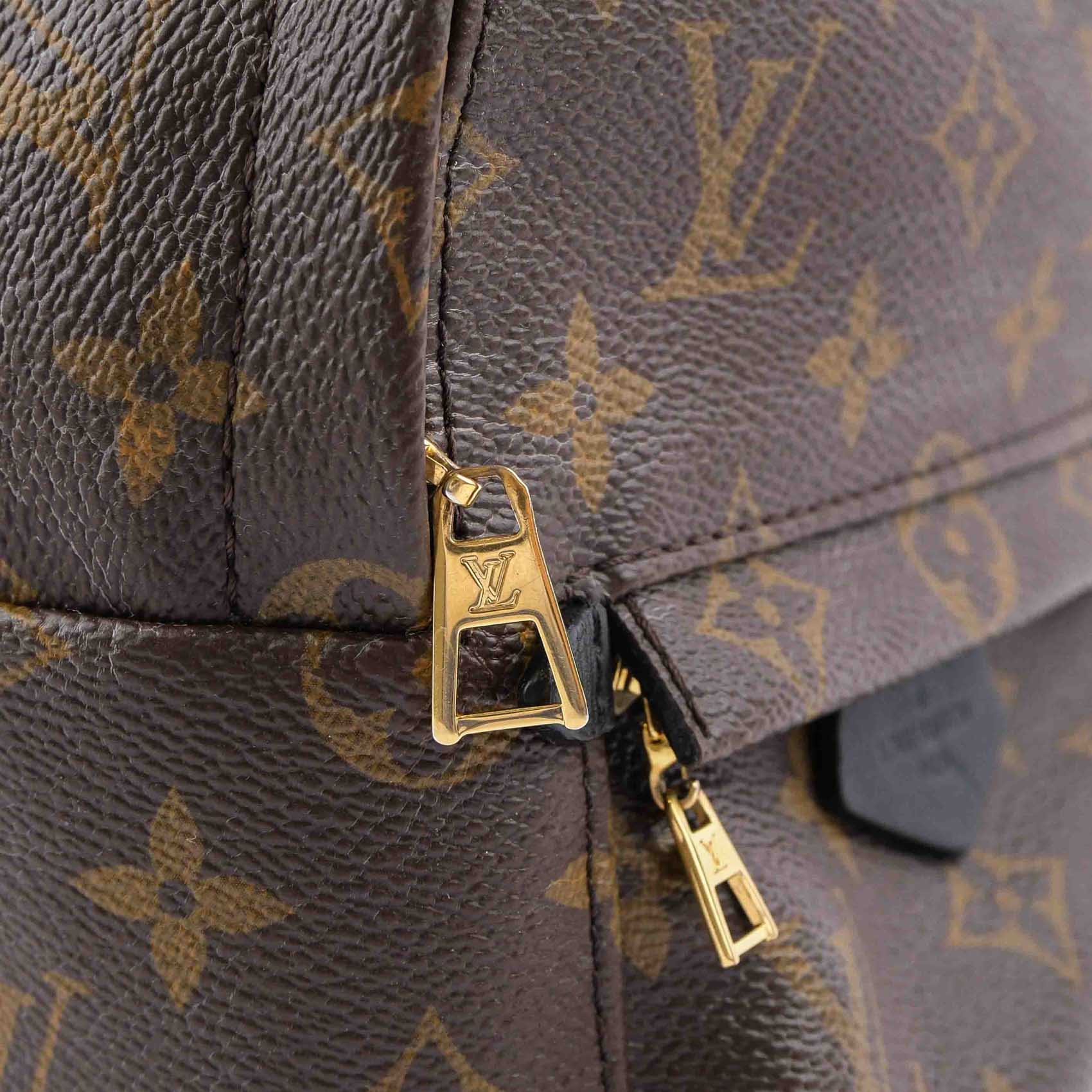 Louis Vuitton Palm Springs Mini Backpack M44873