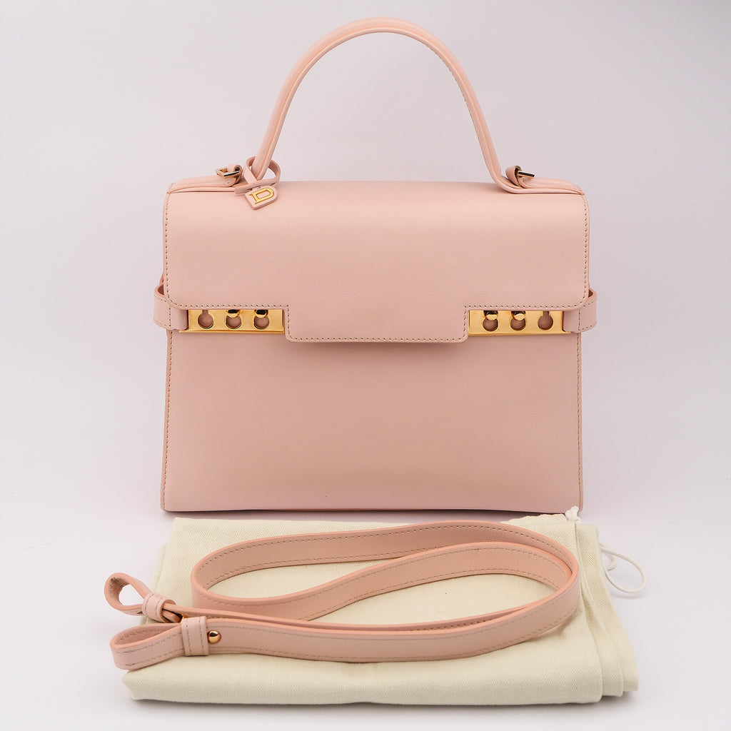Delvaux Tempete MM Leather 2 Way Handbag Pink Mirror Included