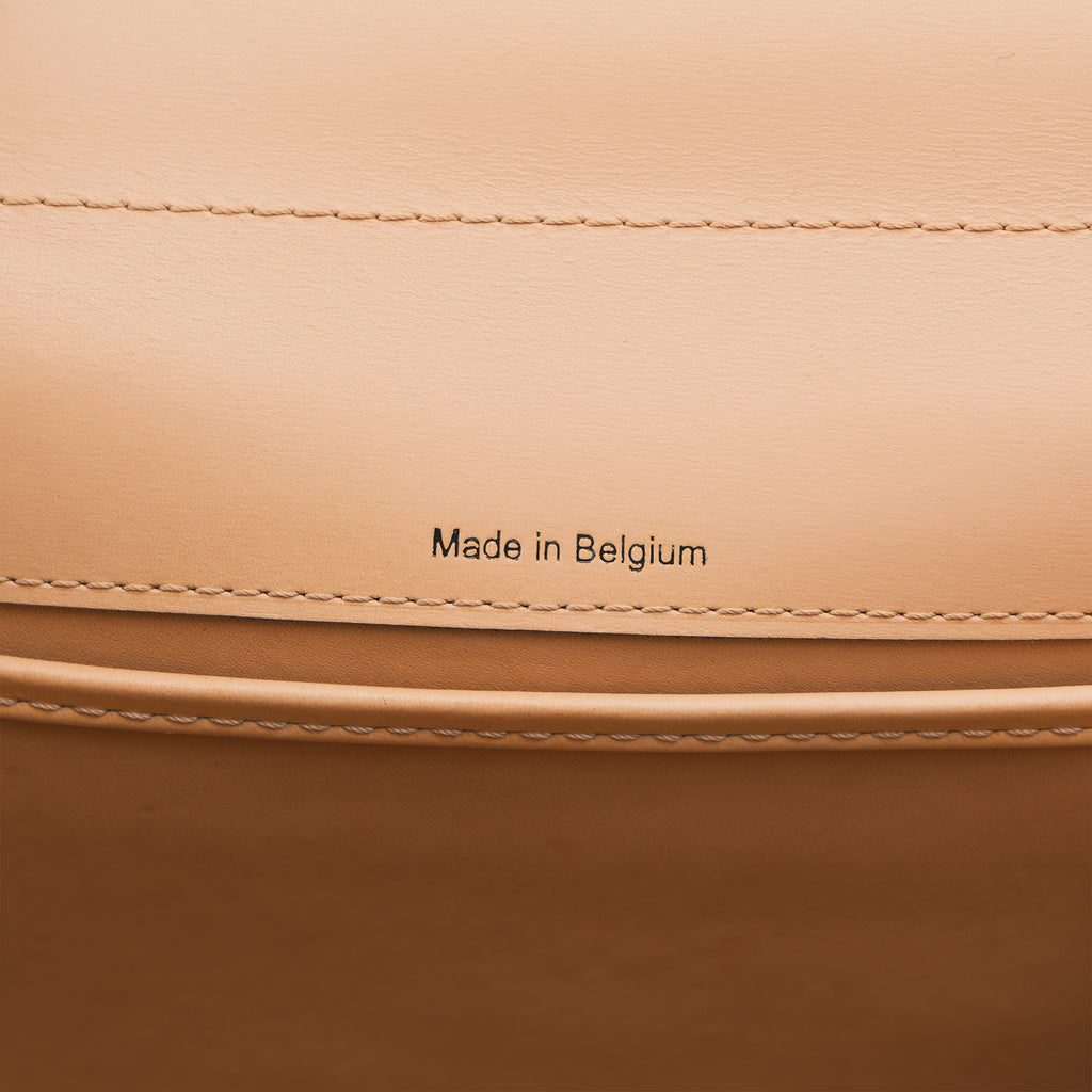 Delvaux Brillant Mini in Box Calf