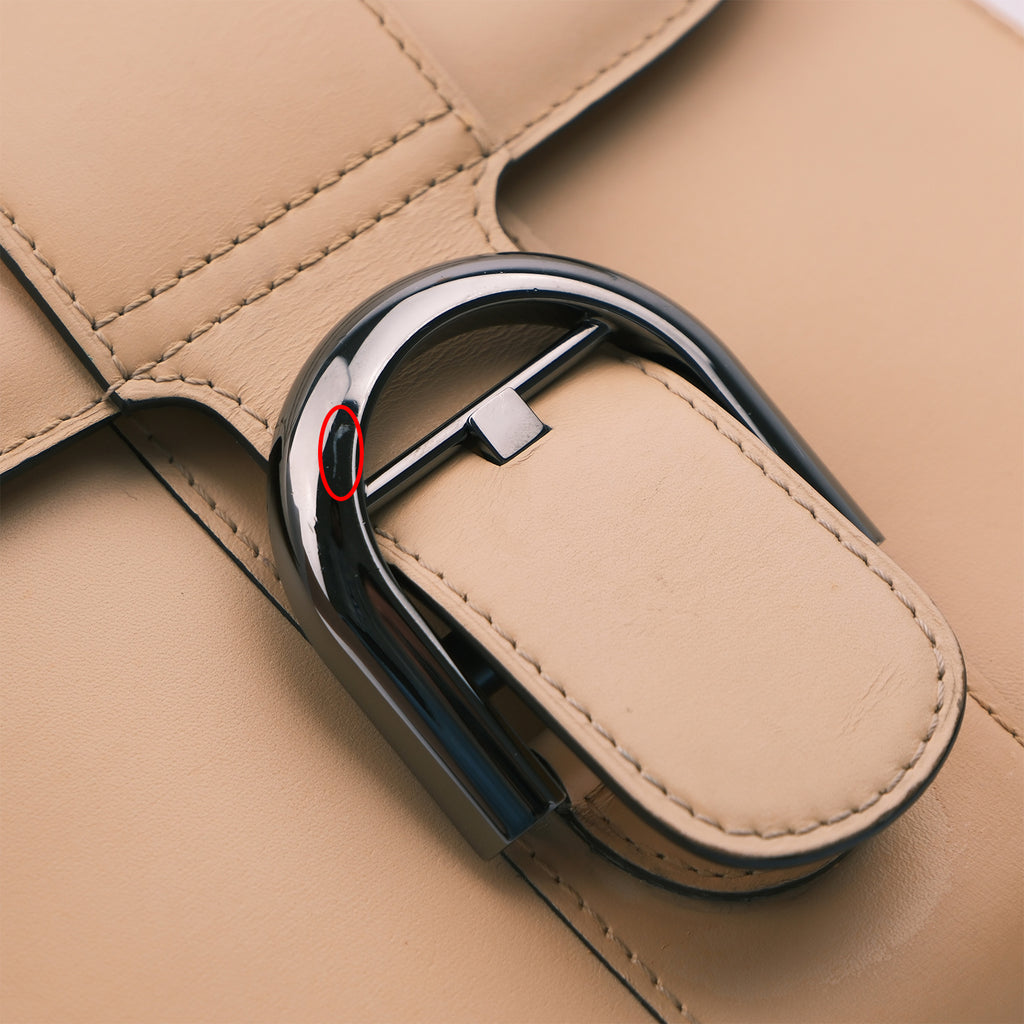 Delvaux Brillant Mini in Box Calf