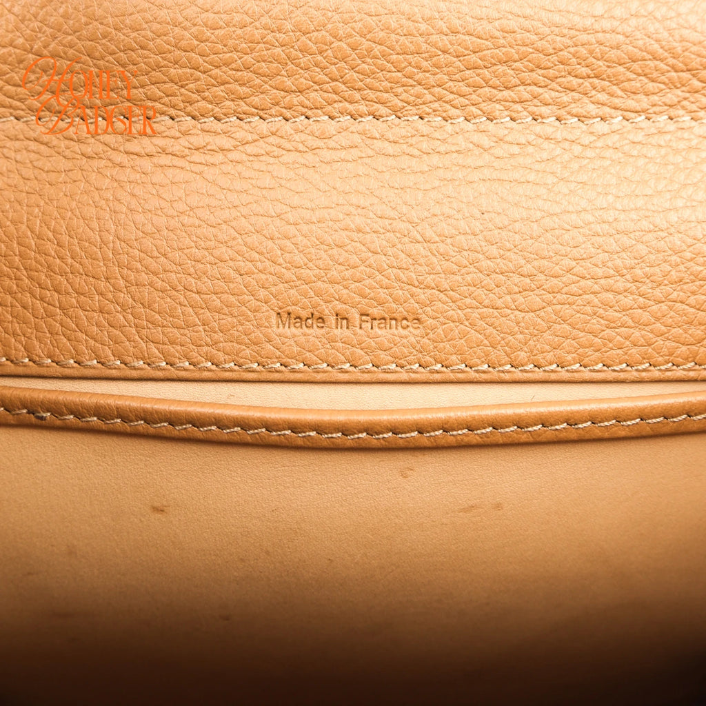 Delvaux Brillant Mini Rodéo Calf Tan Brown Palladium Hardware Rank AB