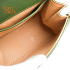 Delvaux Brillant Mini Rodéo Calf Vegetal Gold Hardware Rank A