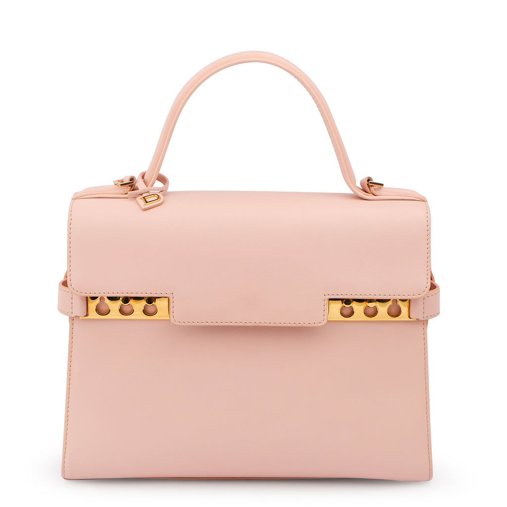 Delvaux Tempete MM Leather 2 Way Handbag Pink Mirror Included