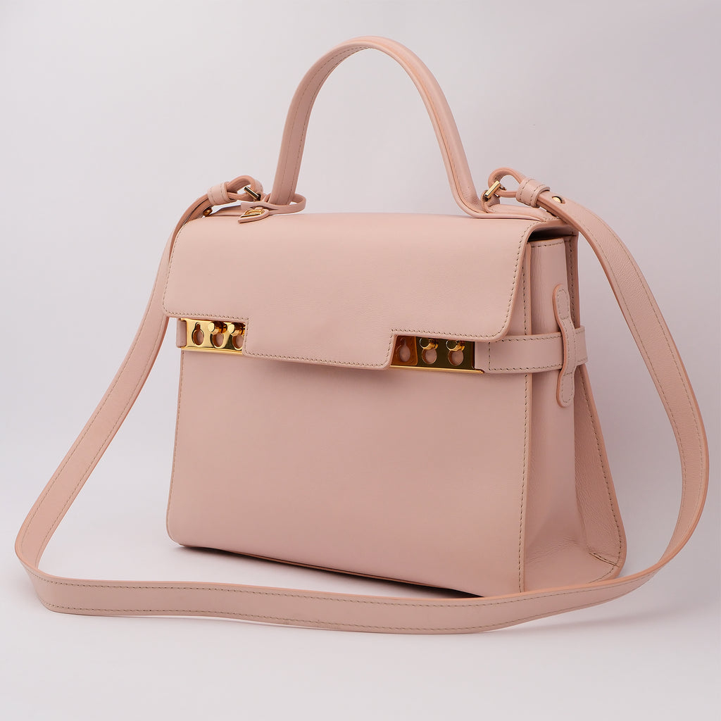 Delvaux Tempete MM Leather 2 Way Handbag Pink Mirror Included