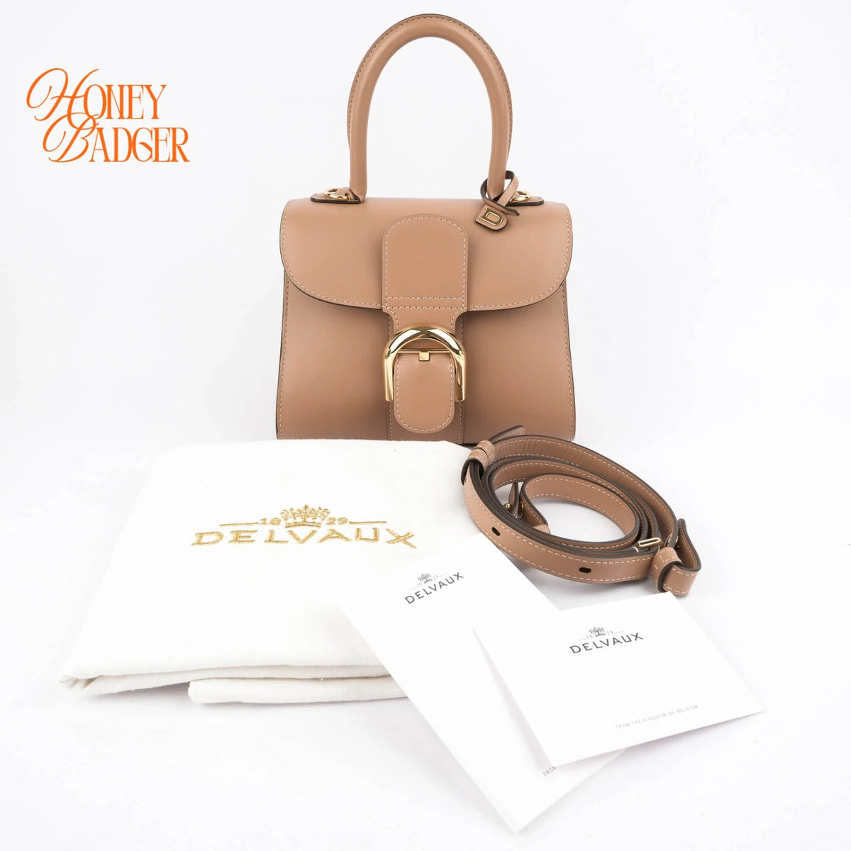 Delvaux Brillant Mini Box Calf Vison Gold Hardware Rank A