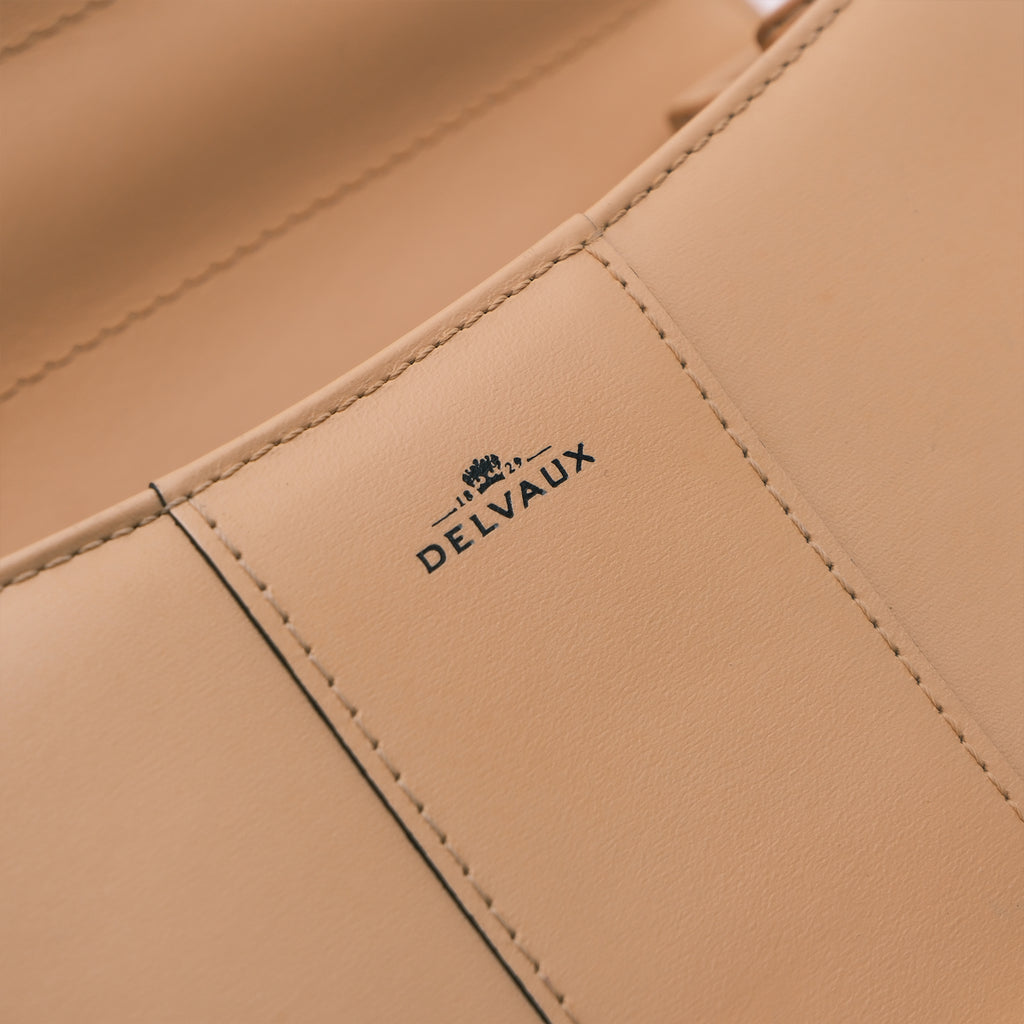 Delvaux Brillant Mini in Box Calf