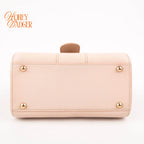 Delvaux Brillant Mini Rodéo Calf Pale Pink Gold Hardware Rank A