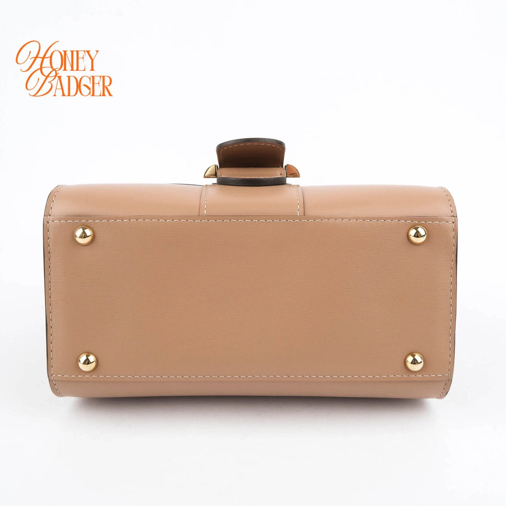 Delvaux Brillant Mini Box Calf Vison Gold Hardware Rank A
