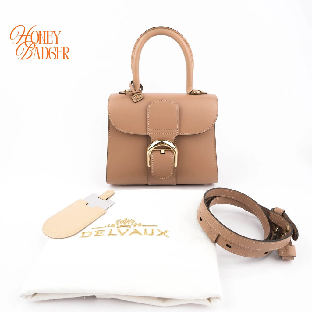 Delvaux Brillant Mini Smooth Leather Brown Rank A